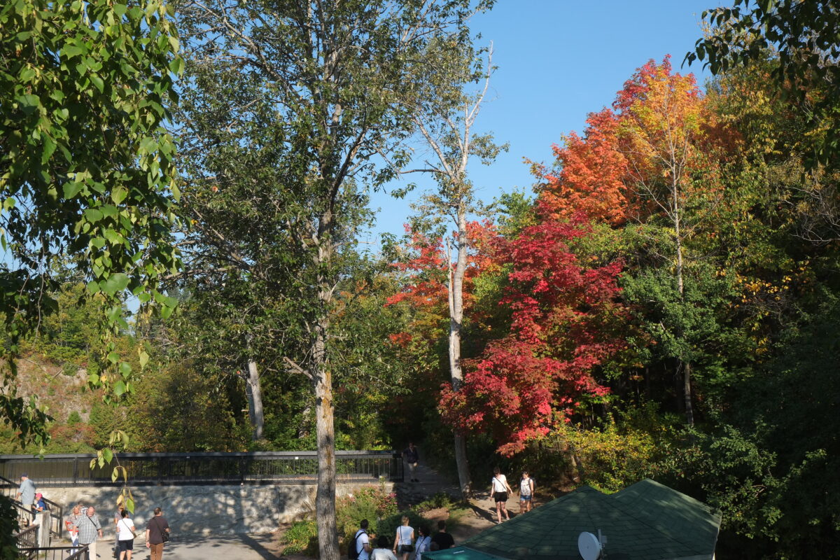 Park von Montmorency