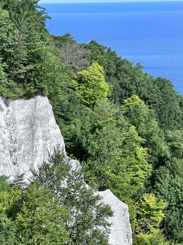 Auf dem Skywalk vom Königsstuhl