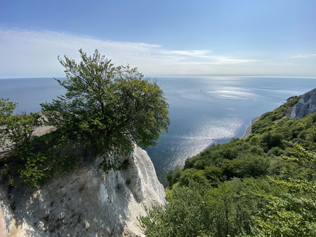 Auf dem Skywalk vom Königsstuhl