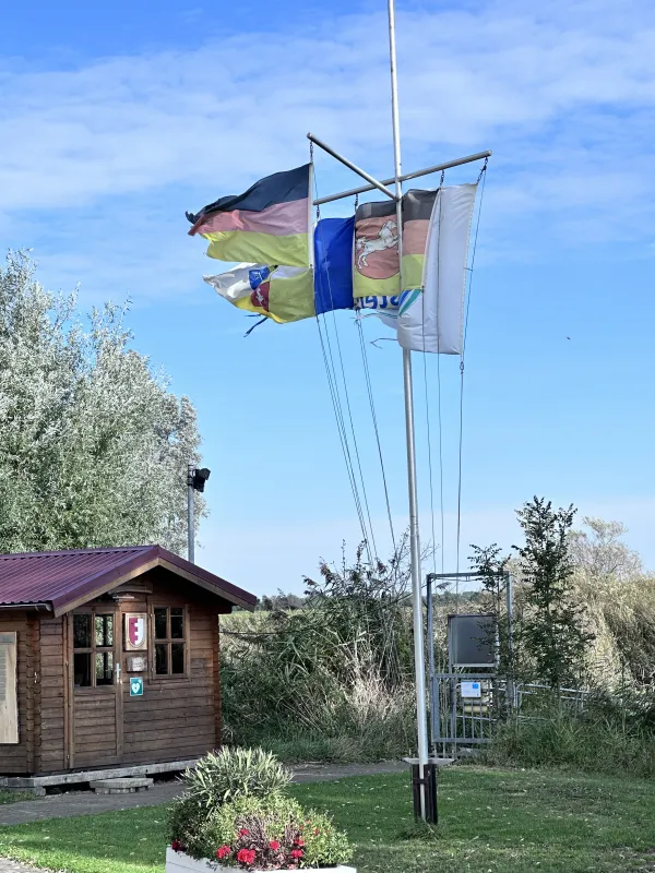 2025 10 03 12 48 37 600X800