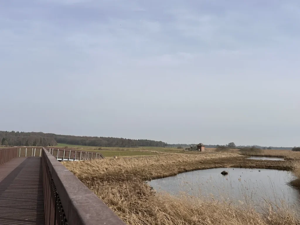 Die Fahrradbrücke über die Geeste bei Altluneberg
