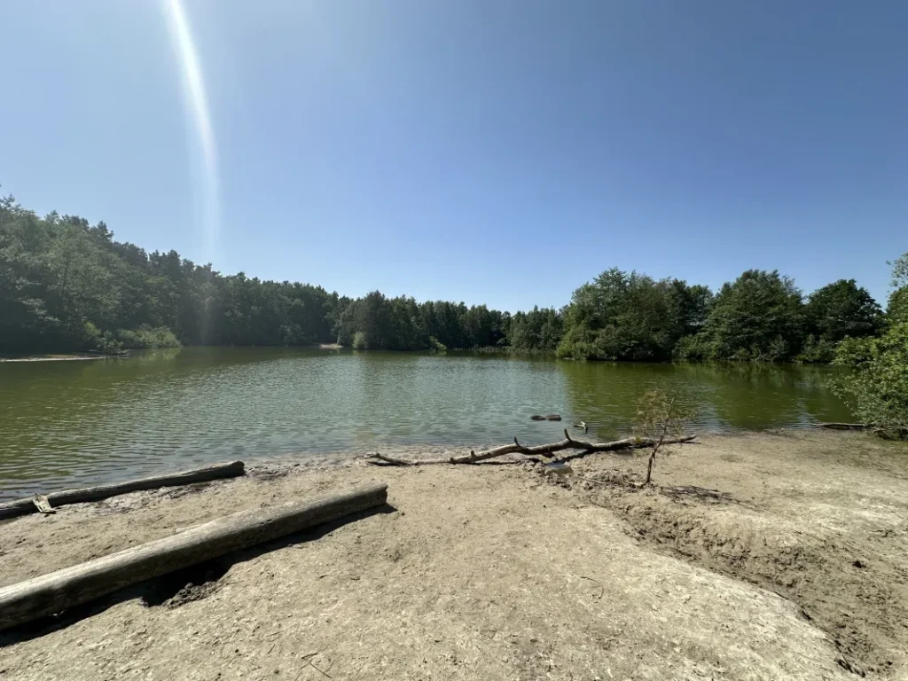 Feuerlöschteich in den Holmer Sandbergen