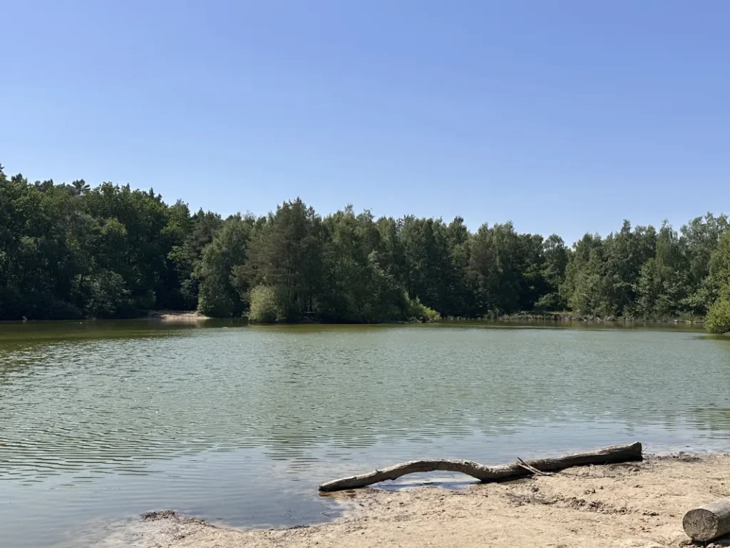 Feuerlöschteich in den Holmer Sandbergen