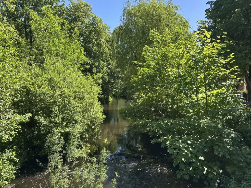 Die Osterau in Bad Bramstedt