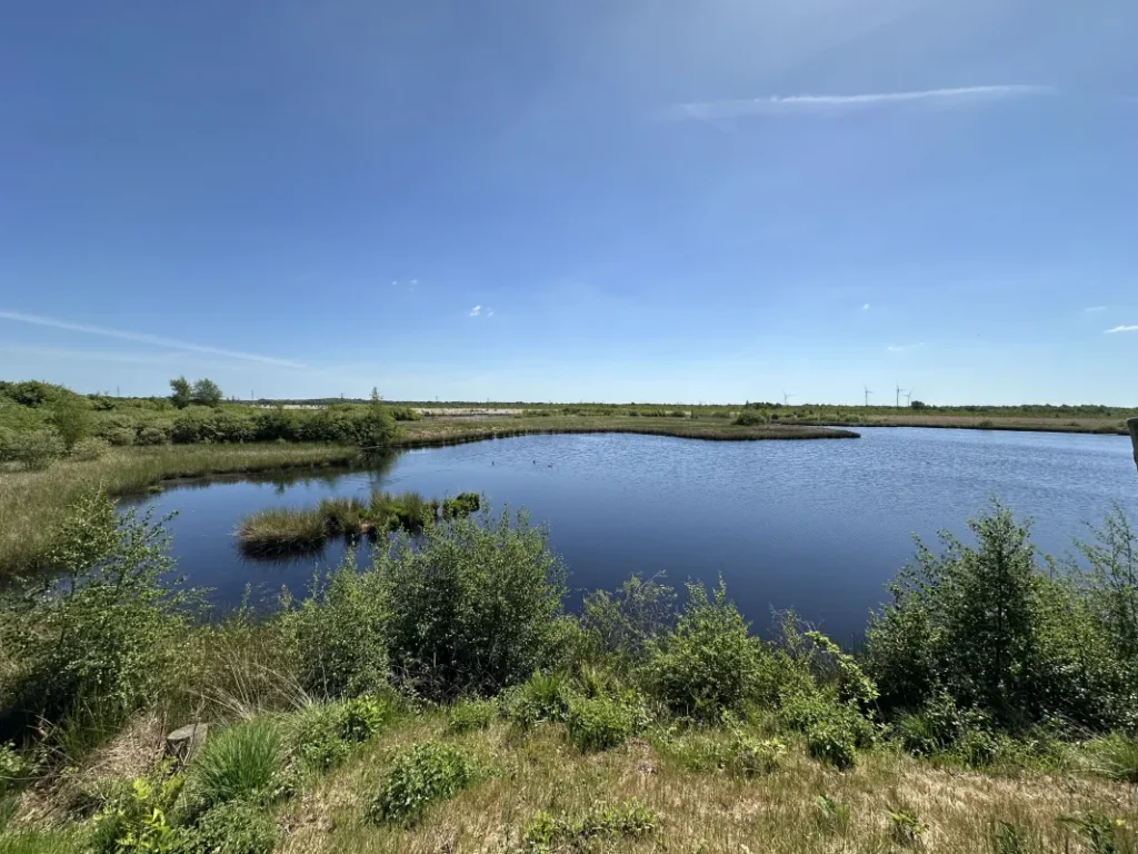 Aussichtspunkt Wildes Moor
