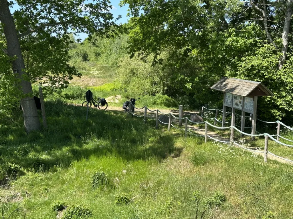 Aussichtspunkt Wildes Moor