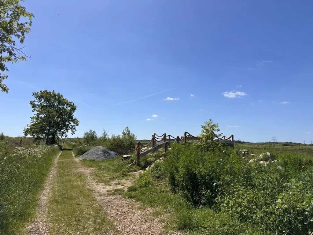 Aussichtspunkt Wildes Moor