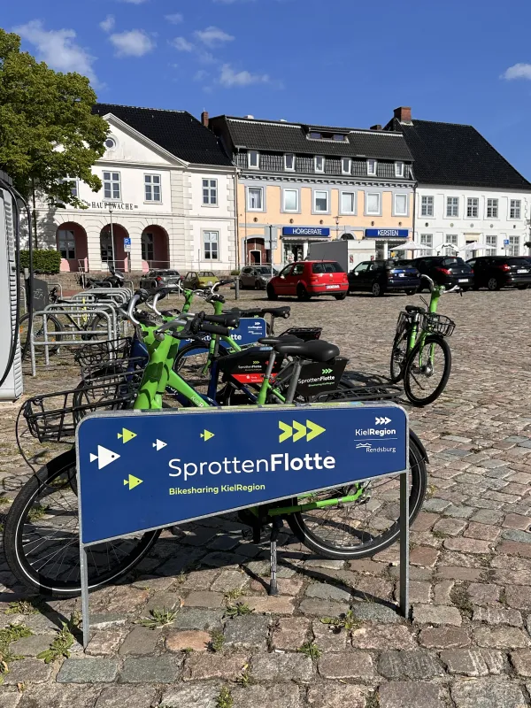 Die Sprotten Flotte