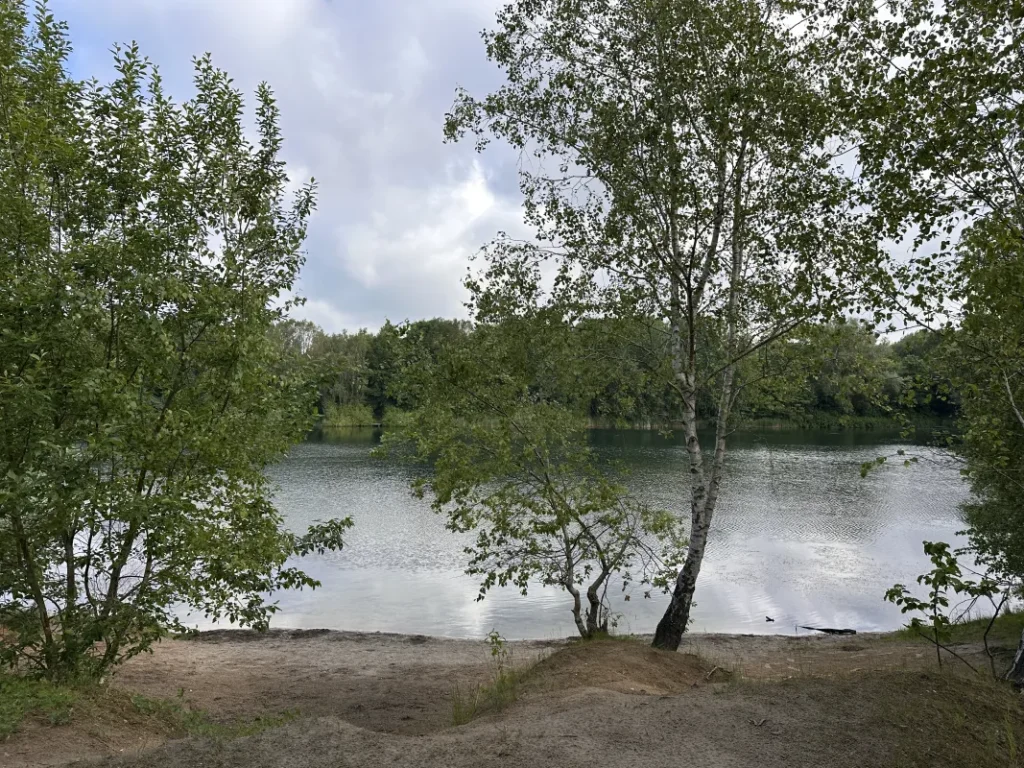 Deckmannsche Kuhlen in der Kremperheide