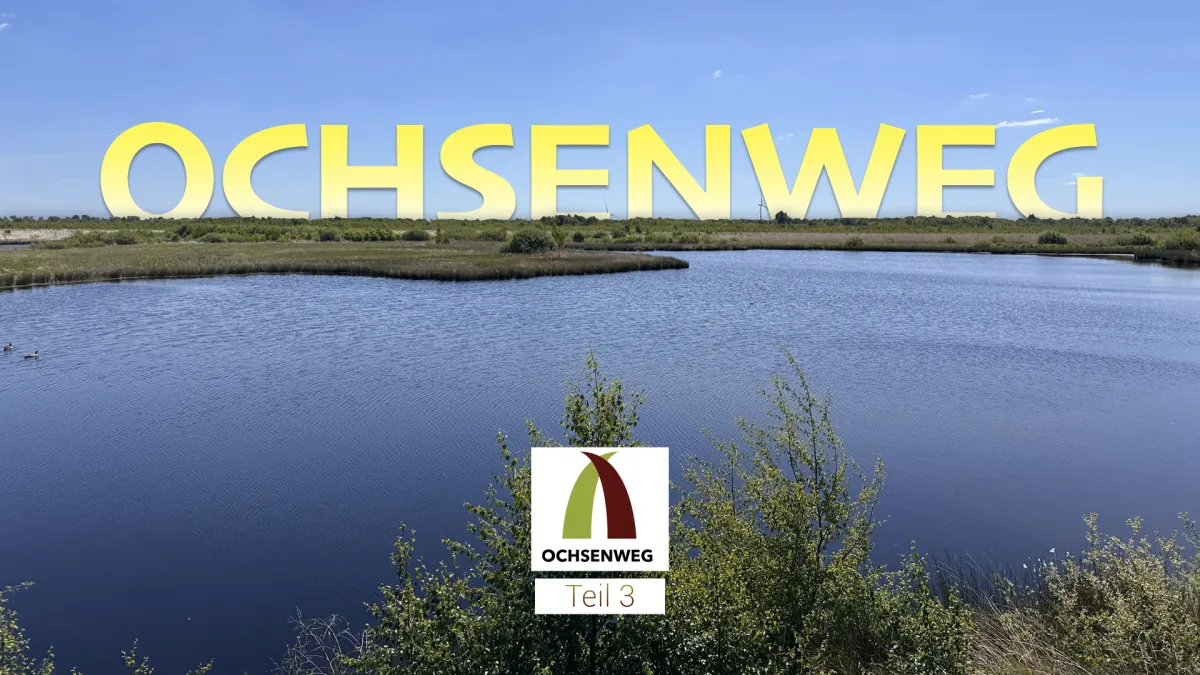 Thumbnail Teil 3 1200X675