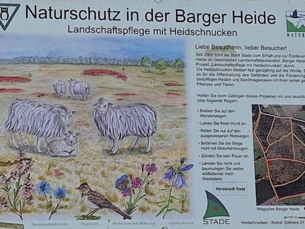 Barger Heide