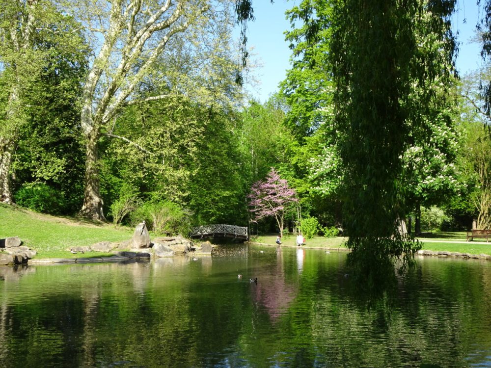 Schlosspark von Bad Mergentheim